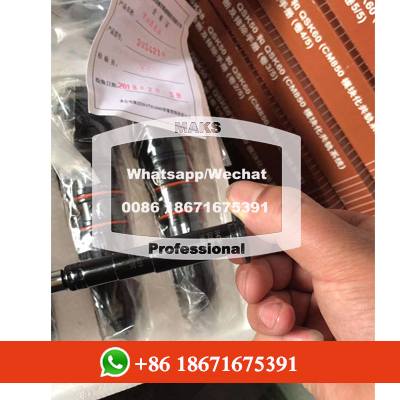 Excavator Spare Parts NT855 Diesel Engine Fuel Injector 3054218